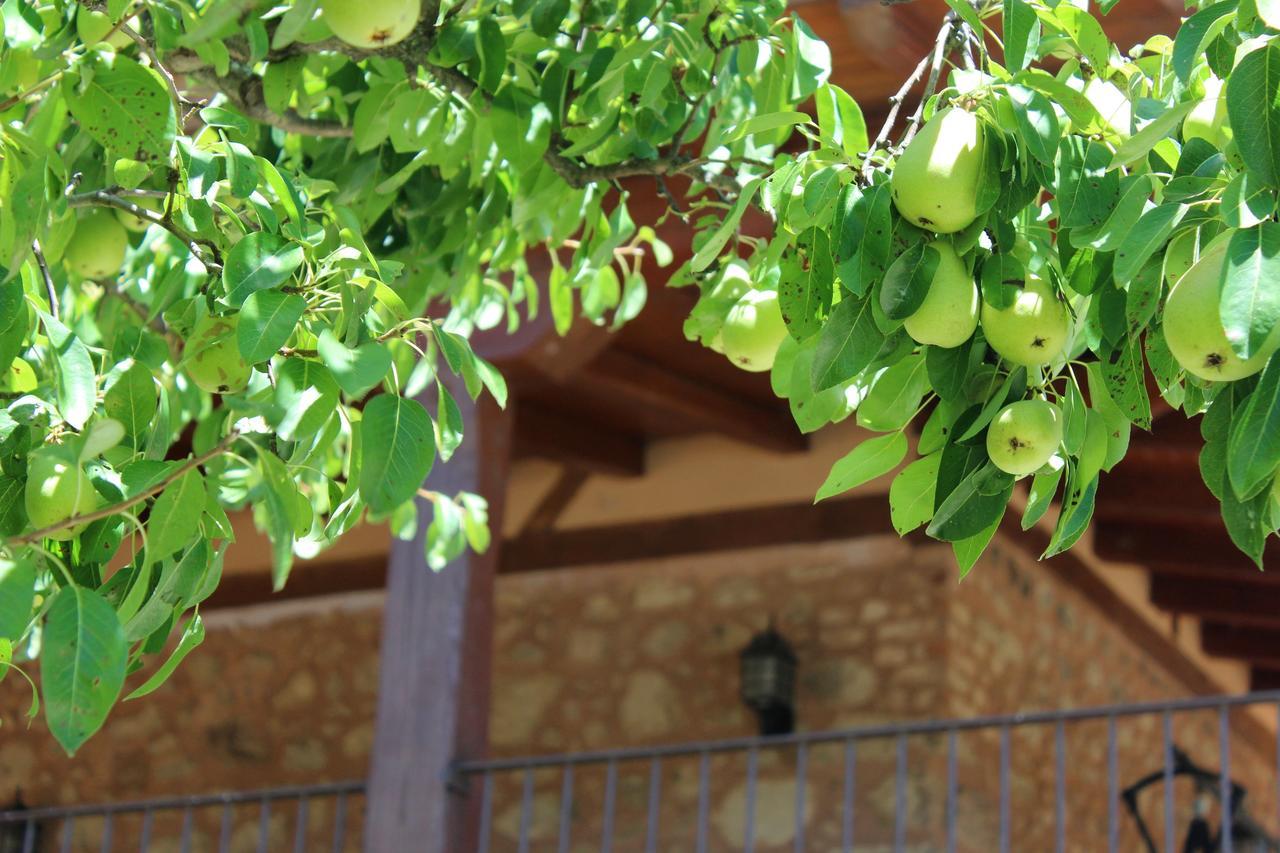 Pensjonat Complejo Rural La Coronilla Jarandilla de la Vera Zewnętrze zdjęcie